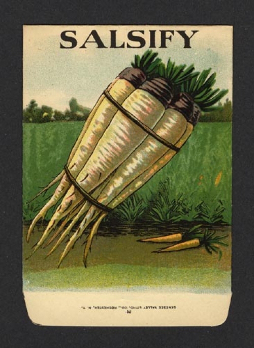 Salsify (Seed pack label).