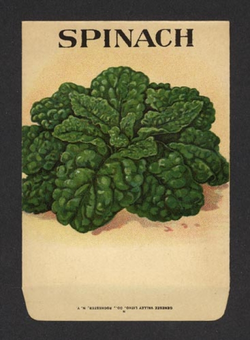 Spinach. (Seed pack label).