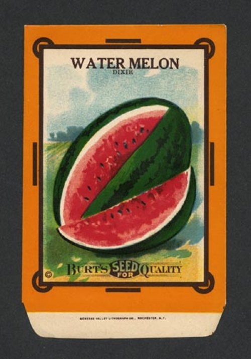 Water Melon, Dixie. (Seed pack).