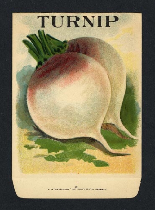 Turnip. (Seed pack label).