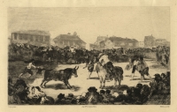 A Village Bullfight.